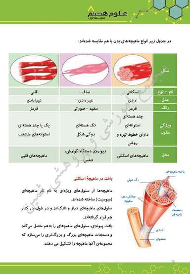 تصویر محصول خلاصه نکات علوم هشتم فصل 5 (حس و حرکت) / متوسطه اول 1404