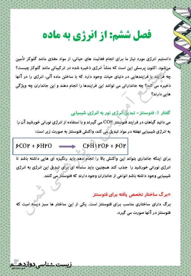 تصویر محصول خلاصه نکات زیست شناسی فصل 6: از انرژی به ماده دوازدهم رشته تجربی