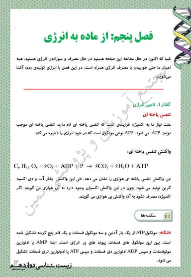 تصویر محصول خلاصه نکات زیست شناسی فصل 5: از ماده به انرژی دوازدهم رشته تجربی