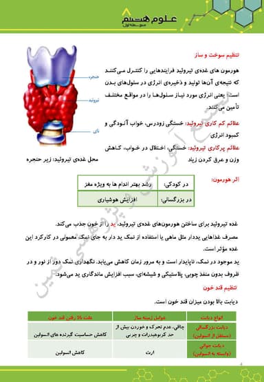 تصویر محصول خلاصه نکات علوم تجربی فصل ششم: تنظیم هورمونی هشتم متوسطه اول