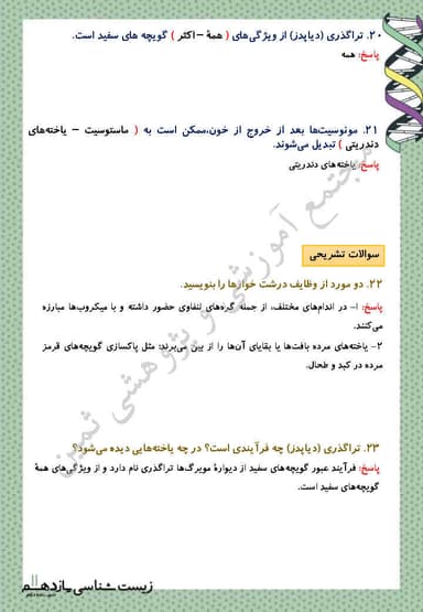 تصویر محصول نمونه سوال حل شده زیست شناسی یازدهم فصل 5 (ایمنی) / رشته تجربی 1404