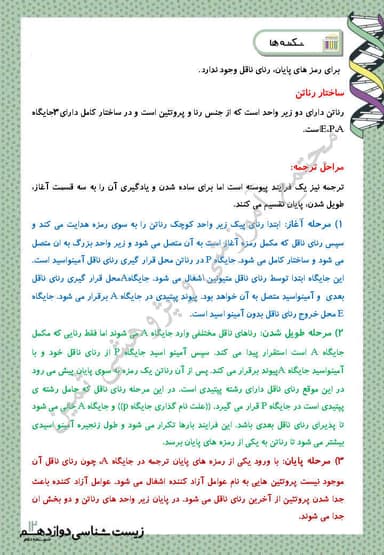 تصویر محصول خلاصه نکات زیست شناسی دوازدهم فصل 2 (جریان اطلاعات در یاخته) / رشته تجربی 1404