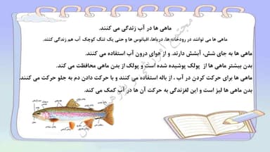 تصویر محصول خلاصه نکات علوم تجربی درس12: هر كدام جاي خود (1) سوم ابتدایی