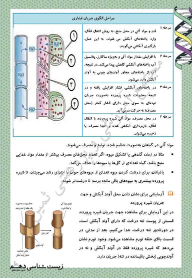 تصویر محصول خلاصه نکات زیست شناسی دهم فصل 7 (جـذب و انتقـال مـواد در گیاهـان) / تجربی 1404