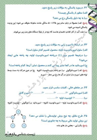 تصویر محصول نمونه سوال حل شده زیست شناسی فصل 7 : تولیدمثل یازدهم رشته تجربی