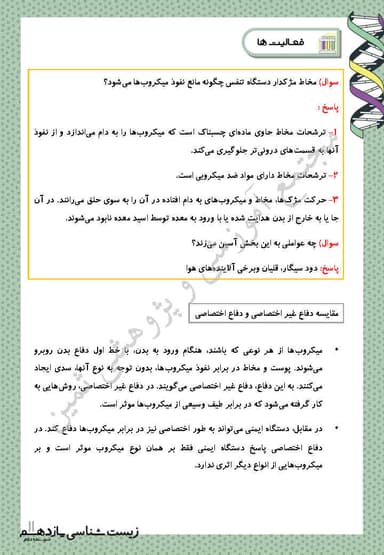تصویر محصول خلاصه نکات زیست شناسی یازدهم فصل 5 (ایمنی) / رشته تجربی 1404