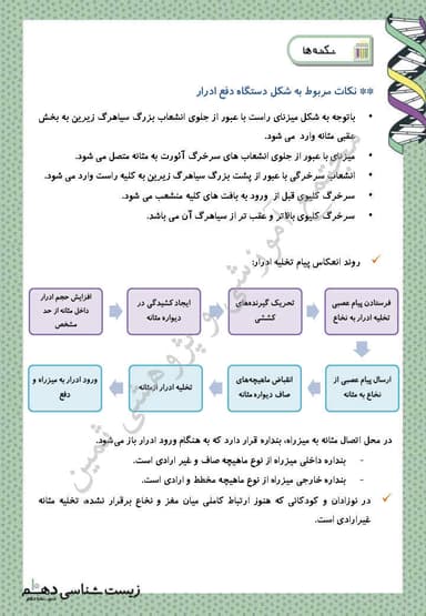 تصویر محصول خلاصه نکات زیست شناسی دهم فصل 5 (تنظیم اسمزی و دفع مواد زائد) / تجربی 1404