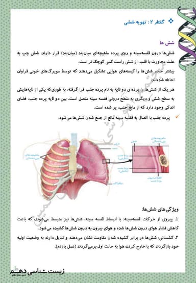 تصویر محصول خلاصه نکات زیست شناسی دهم فصل 3 (تبادلات گازی) / تجربی 1404