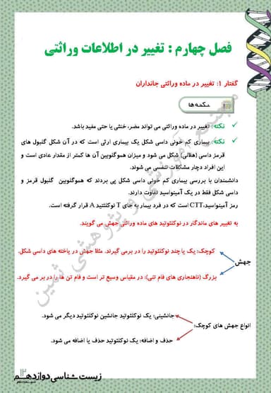 تصویر محصول خلاصه نکات زیست شناسی دوازدهم فصل 4 (تغییر در اطلاعات وراثتی) / رشته تجربی 1404
