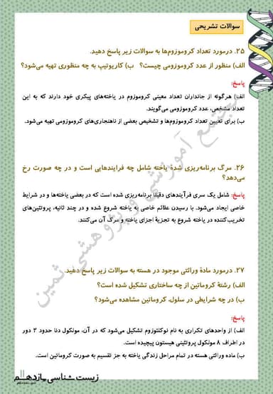 تصویر محصول نمونه سوال حل شده زیست شناسی فصل 6: تقسیم یاخته یازدهم رشته تجربی