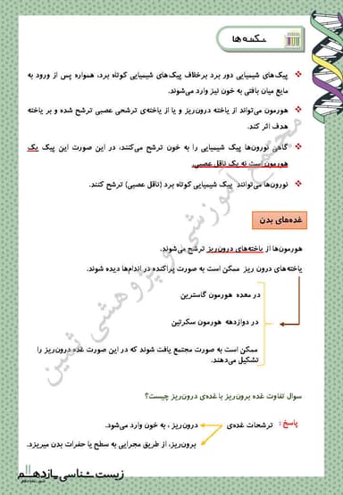 تصویر محصول خلاصه نکات زیست شناسی یازدهم فصل 4 (تنظیم شیمیایی) / رشته تجربی 1404