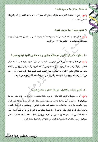 تصویر محصول نمونه سوال حل شده زیست شناسی دوازدهم فصل 2 (جریان اطلاعات در یاخته) / رشته تجربی 1404