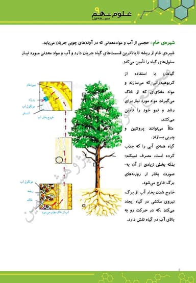 مشاهده جزئیات محصول خلاصه نکات علوم تجربی فصل دوازدهم: دنیای گیاهان نهم متوسطه اول تصویر محصول خلاصه نکات علوم تجربی فصل دوازدهم: دنیای گیاهان نهم متوسطه اول