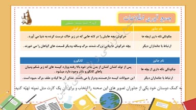 مشاهده جزئیات محصول خلاصه نکات علوم تجربی درس دهم: درون آشیانه ها دوم ابتدایی تصویر محصول خلاصه نکات علوم تجربی درس دهم: درون آشیانه ها دوم ابتدایی