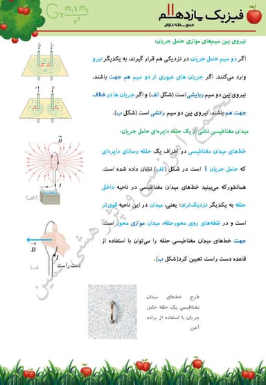 مشاهده جزئیات محصول خلاصه نکات فیزیک فصل 3: مغناطیس یازدهم رشته ریاضی تصویر محصول خلاصه نکات فیزیک فصل 3: مغناطیس یازدهم رشته ریاضی