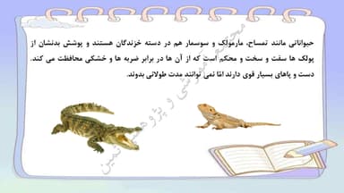 مشاهده جزئیات محصول خلاصه نکات علوم تجربی درس13: هر كدام جاي خود (2) سوم ابتدایی تصویر محصول خلاصه نکات علوم تجربی درس13: هر كدام جاي خود (2) سوم ابتدایی