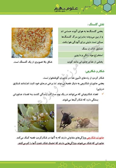 مشاهده جزئیات محصول خلاصه نکات علوم تجربی فصل پانزدهم: باهم زیستن نهم متوسطه اول تصویر محصول خلاصه نکات علوم تجربی فصل پانزدهم: باهم زیستن نهم متوسطه اول