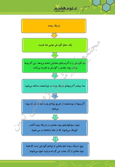 مشاهده جزئیات محصول خلاصه نکات علوم تجربی فصل سیزدهم: سفر غذا هفتم متوسطه اول تصویر محصول خلاصه نکات علوم تجربی فصل سیزدهم: سفر غذا هفتم متوسطه اول