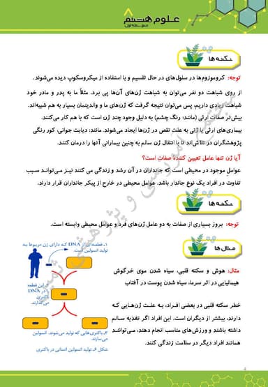 مشاهده جزئیات محصول خلاصه نکات علوم تجربی فصل هفتم: الفبای زیست فناوری هشتم متوسطه اول تصویر محصول خلاصه نکات علوم تجربی فصل هفتم: الفبای زیست فناوری هشتم متوسطه اول