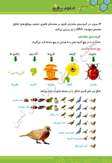 مشاهده جزئیات محصول خلاصه نکات علوم تجربی فصل یازدهم: گوناگونی جانداران نهم متوسطه اول تصویر محصول خلاصه نکات علوم تجربی فصل یازدهم: گوناگونی جانداران نهم متوسطه اول