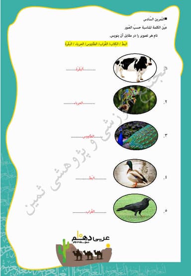 مشاهده جزئیات محصول نمونه سوال حل شده عربی , زبان قرآن درس پنجم: هذا خَلقُ اللهِ دهم رشته ریاضی و تجربی تصویر محصول نمونه سوال حل شده عربی , زبان قرآن درس پنجم: هذا خَلقُ اللهِ دهم رشته ریاضی و تجربی