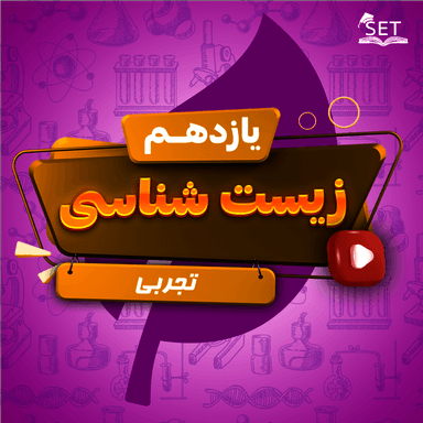 مشاهده جزئیات محصول ویدیو زیست شناسی فصل 5: ایمنی یازدهم رشته تجربی تصویر محصول ویدیو زیست شناسی فصل 5: ایمنی یازدهم رشته تجربی