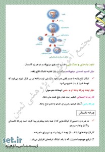 نکات و خلاصه زیست شناسی یازدهم،فصل هفتم زیست شناسی یازدهم