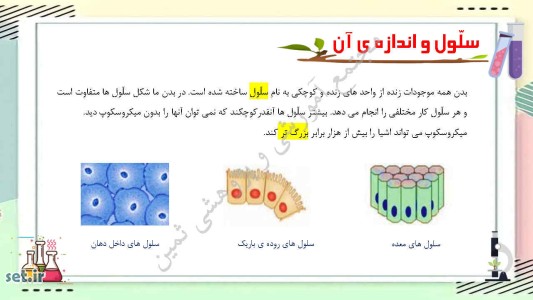 نکات و خلاصه درس نهم علوم چهارم ابتدایی،جزوه آموزشی علوم چهارم،علوم چهارم