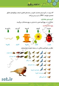 خلاصه و نکات فصل یازدهم علوم نهم،فصل یازدهم علوم نهم