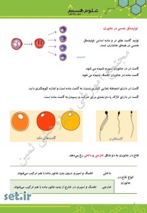 خلاصه و نکات فصل هشتم علوم هشتم،فصل هشتم علوم هشتم