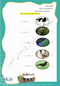 نمونه سوال درس پنجم عربی دهم ریاضی و تجربی،درس پنجم عربی دهم