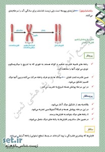 نکات و خلاصه زیست شناسی یازدهم،فصل سوم زیست شناسی یازدهم