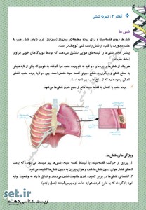 خلاصه و نکات فصل سوم زیست شناسی 1،خلاصه و نکات فصل سوم زیست شناسی دهم،خلاصه فصل سوم زیست شناسی دهم تجربی،جزوه فصل سوم زیست شناسی دهم،جزوه زیست شناسی دهم