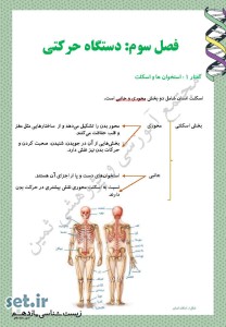 نکات و خلاصه زیست شناسی یازدهم،فصل سوم زیست شناسی یازدهم