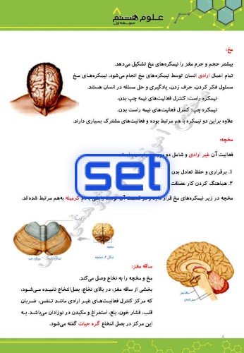 فصل چهارم: تنظیم عصبی