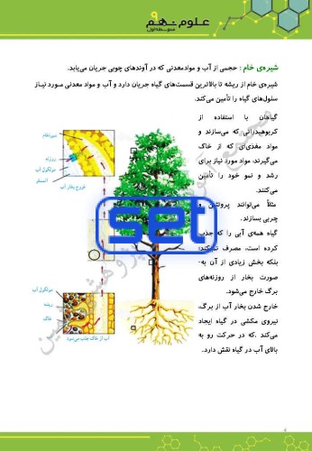 فصل دوازدهم: دنیای گیاهان