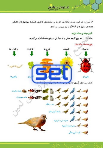 فصل یازدهم: گوناگونی جانداران