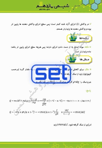 فصل دوم: در پی غذای سالم